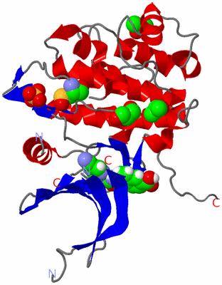 Image Asym./Biol. Unit