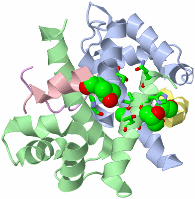 Image Asym./Biol. Unit - sites