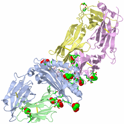 Image Asym./Biol. Unit - sites