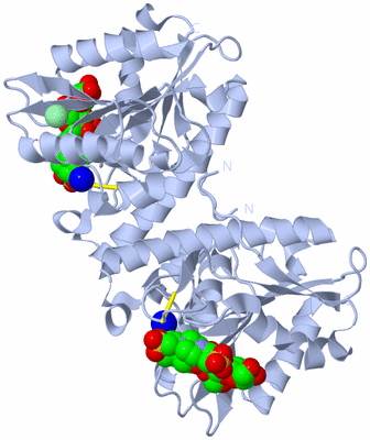 Image Biological Unit 1