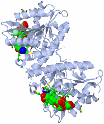 Image Biol. Unit 1 - sites