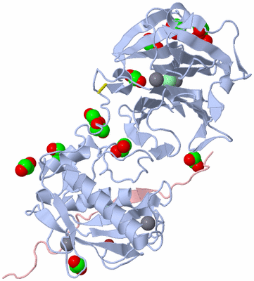 Image Biological Unit 1