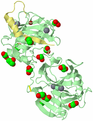 Image Biological Unit 2