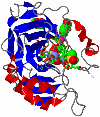 Image Asym./Biol. Unit - sites