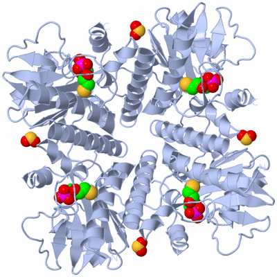 Image Biological Unit 1