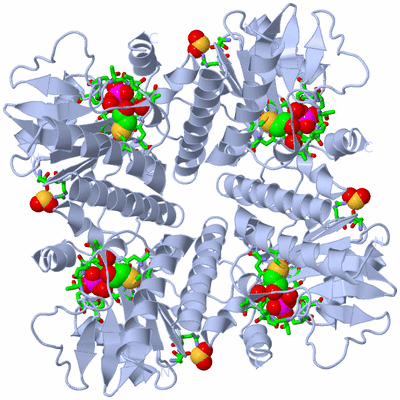 Image Biol. Unit 1 - sites