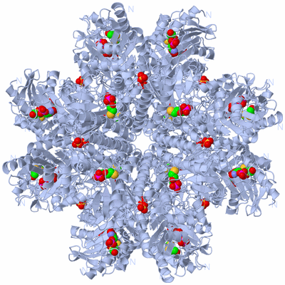 Image Biological Unit 2