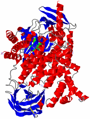 Image Asym./Biol. Unit