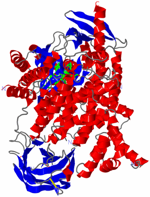 Image Asym./Biol. Unit - sites