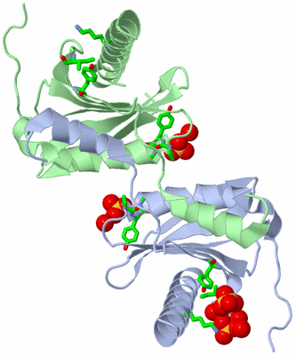 Image Asym./Biol. Unit - sites