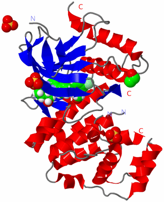 Image Asym./Biol. Unit