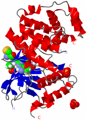 Image Asym./Biol. Unit