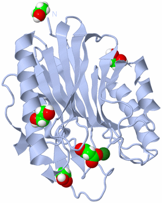 Image Biological Unit 1