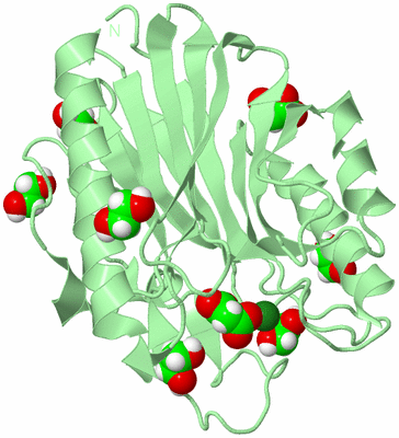 Image Biological Unit 2