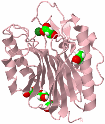 Image Biological Unit 3