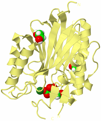 Image Biological Unit 4