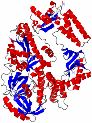 Image Asym./Biol. Unit