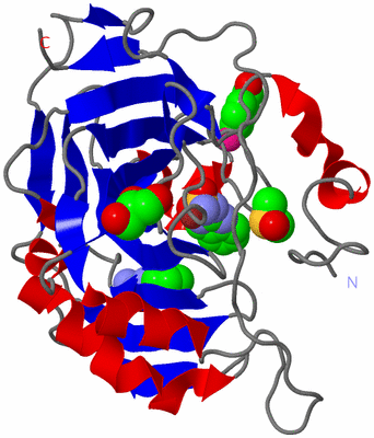 Image Asym./Biol. Unit