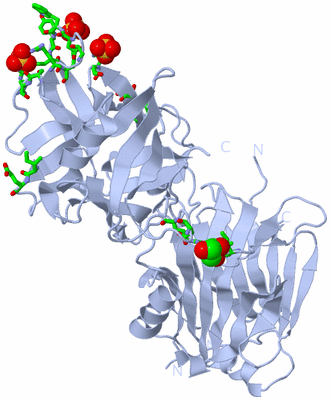 Image Biol. Unit 1 - sites