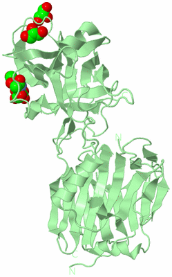 Image Biological Unit 2