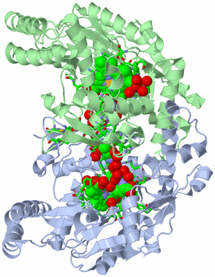 Image Asym./Biol. Unit - sites