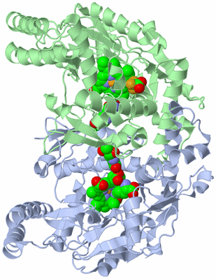 Image Asym./Biol. Unit