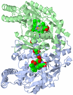 Image Asym./Biol. Unit