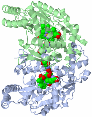 Image Asym./Biol. Unit