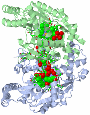 Image Asym./Biol. Unit - sites