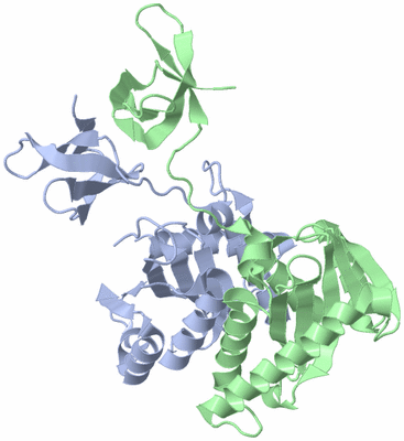 Image Asym./Biol. Unit