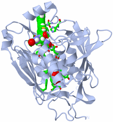 Image Biol. Unit 1 - sites