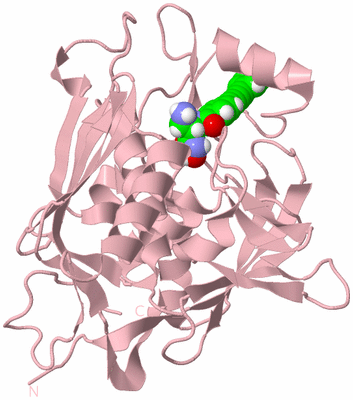 Image Biological Unit 3