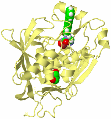 Image Biological Unit 4