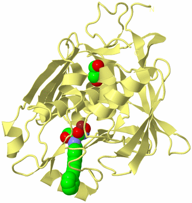 Image Biological Unit 4