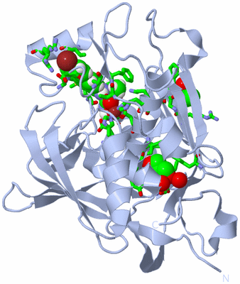 Image Biol. Unit 1 - sites