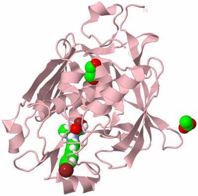 Image Biological Unit 3