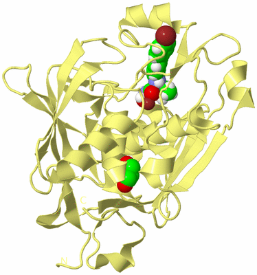 Image Biological Unit 4