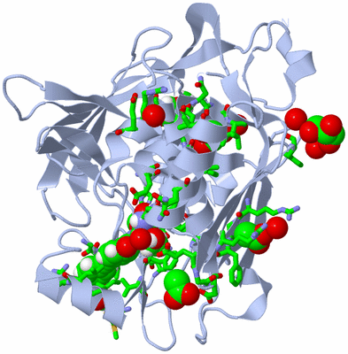 Image Biol. Unit 1 - sites