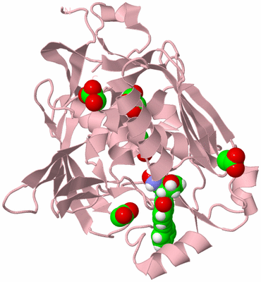 Image Biological Unit 3