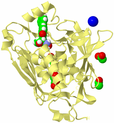 Image Biological Unit 4