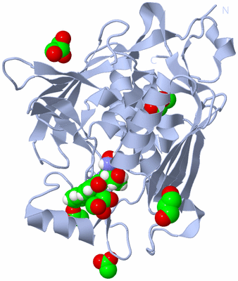 Image Biological Unit 1