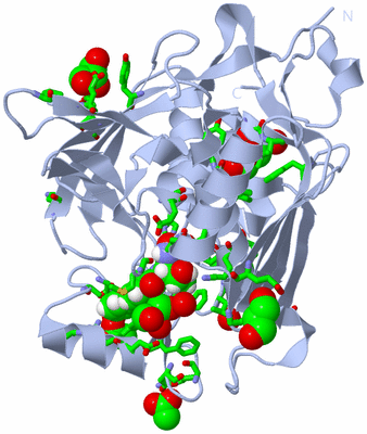 Image Biol. Unit 1 - sites