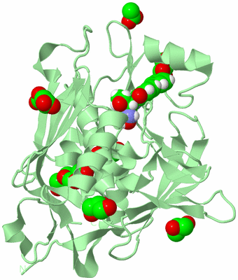 Image Biological Unit 2