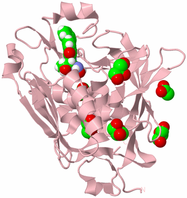 Image Biological Unit 3