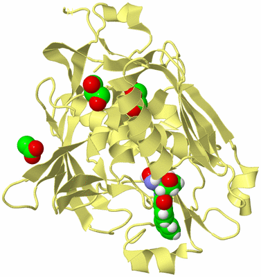 Image Biological Unit 4