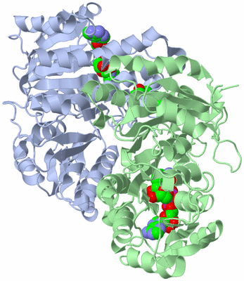 Image Biological Unit 1