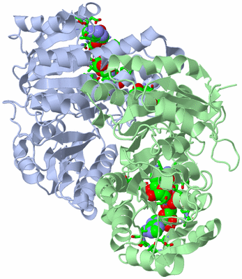 Image Biol. Unit 1 - sites