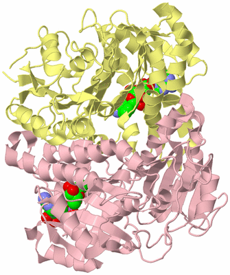 Image Biological Unit 2