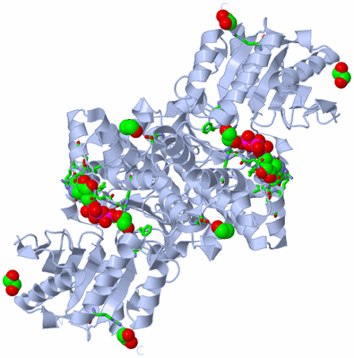 Image Biol. Unit 1 - sites