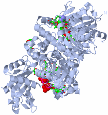 Image Biol. Unit 1 - sites